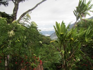 The view from Alolo Village