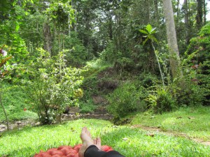 Nanna nap in paradise...