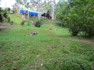 Dropping like flies...