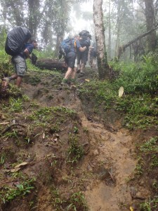 Up... and up... and up!