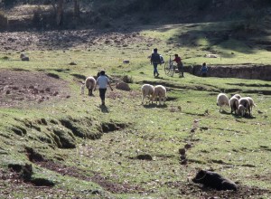Village life.