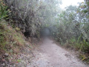 Magical Mystery Tour